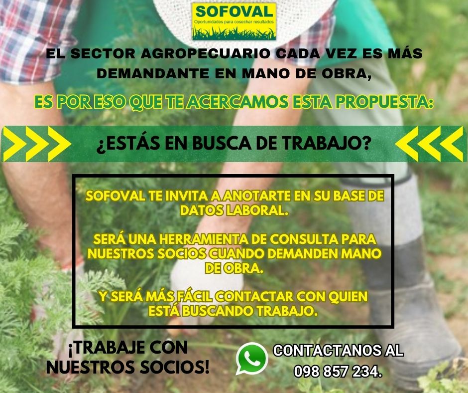 ¡Tenemos novedades!
Ahora podes formar parte de nuestra base de datos para tener la posibilidad de trabajar con nuestros socios en el sector agropecuario 🌱💪🏼

Inscribite en el siguiente link
👉🏼 forms.gle/LKCshTM5nos1zS…