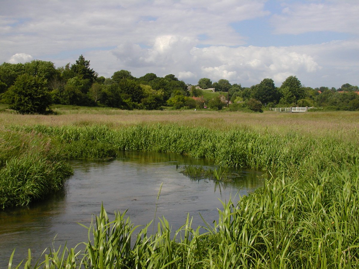 NEW FARM CLUSTER📢🚜 We have secured funding for a new farming cluster along River Tud, addressing A47 infrastructure, enhancing river health, and supporting biodiversity. Meetings to be held in Mar & April, details to follow! Contact Sasha: sasha@norfolkfwag.co.uk for more.