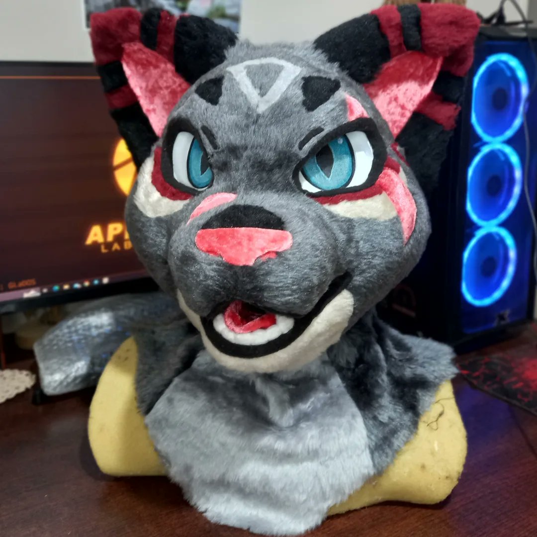ChainaSilverfox's tweet image. New furhead! New cat! 🐈‍⬛