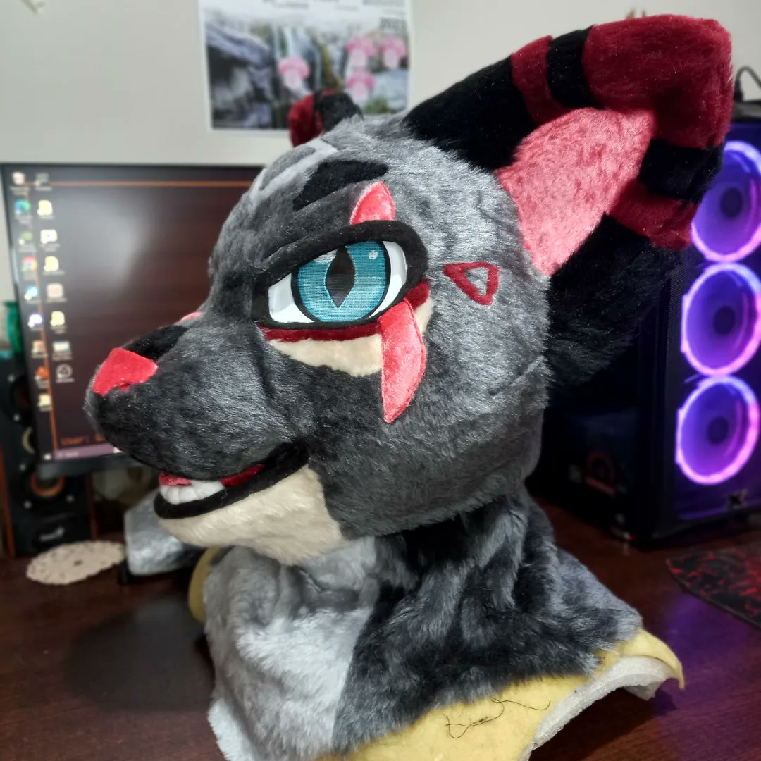 ChainaSilverfox's tweet image. New furhead! New cat! 🐈‍⬛