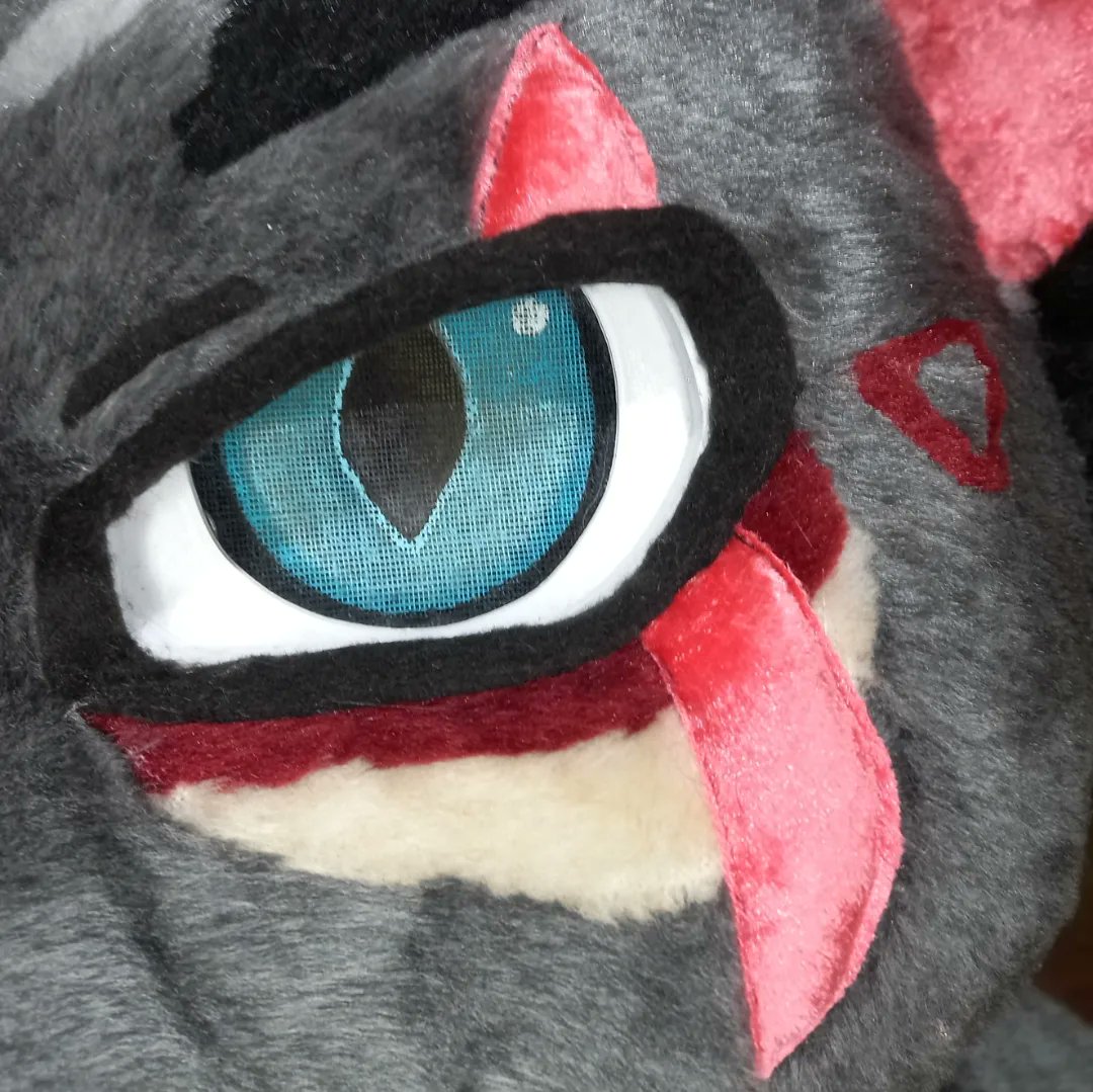 ChainaSilverfox's tweet image. New furhead! New cat! 🐈‍⬛