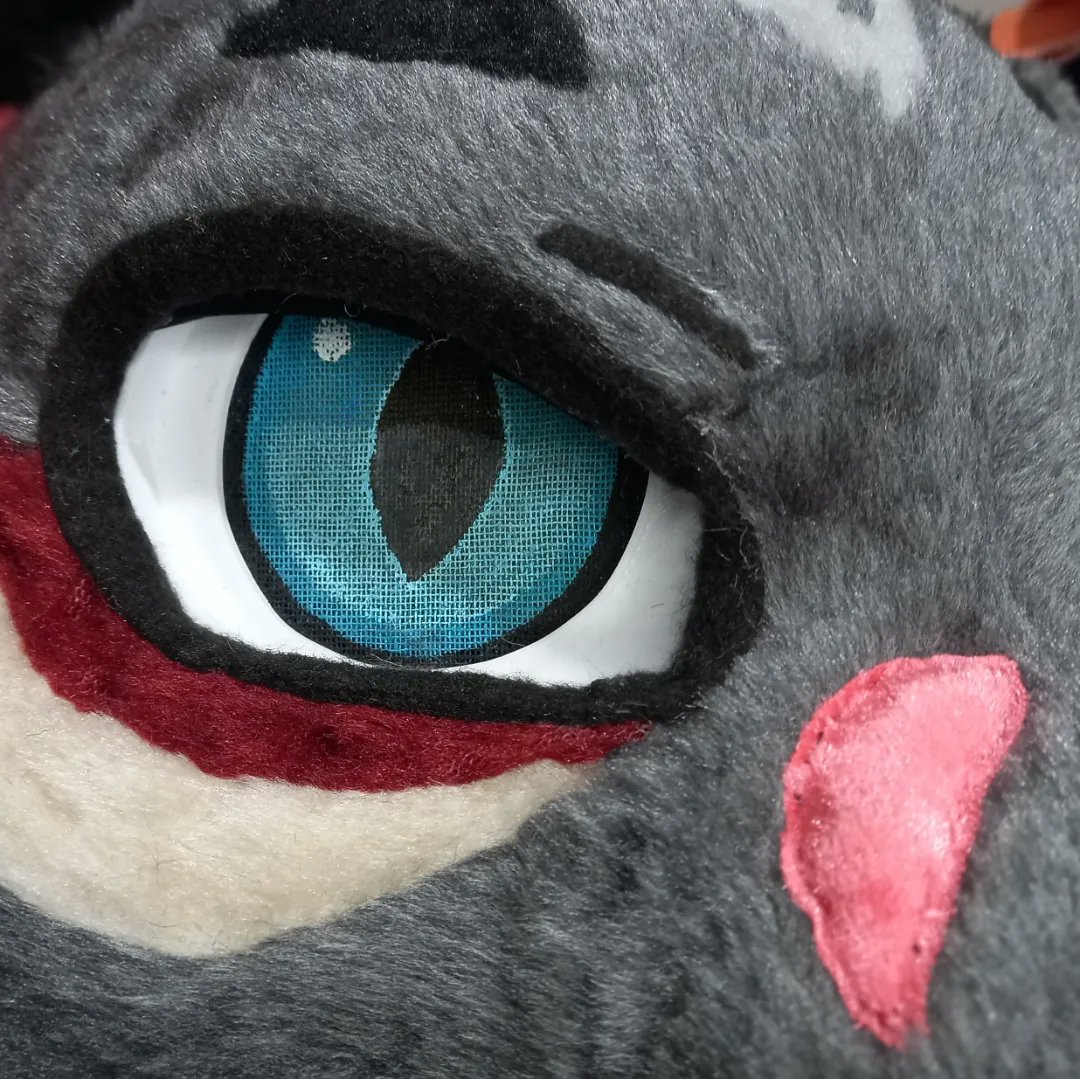 ChainaSilverfox's tweet image. New furhead! New cat! 🐈‍⬛