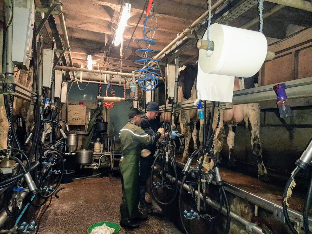 FTravail_BZH's tweet photo. 👉 À l'occasion des Journées des métiers de l'#agriculture et du vivant, 2 demandeurs d'#emploi sont allés en immersion dans un élevage laitier à Montfort-sur-Meu pour découvrir le métier d'éleveur 🐄
Une demi-journée organisée par l'agence @FranceTravail Rennes Ouest 👏 https://t.co/cT54405HQg