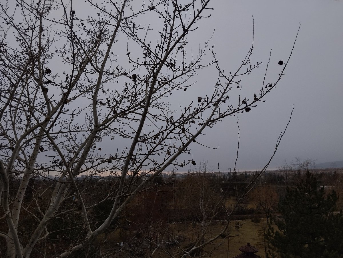 Kul olsa da yanında, yâr olarak Allah vardır 
Tek dayanak O'dur hayatta 
Mutlu olsan da mutsuz olsan da 
El açar beklersin kapısında..