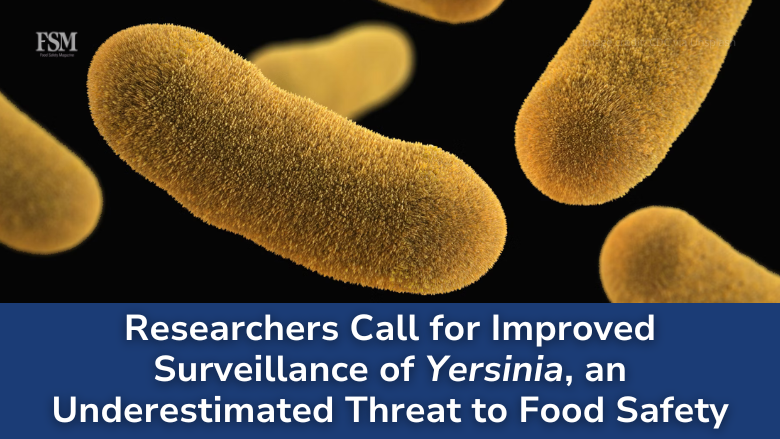 FoodSafetyMag's tweet photo. A new study suggests that bacteria Yersinia enterocolitica may be a bigger threat to food safety than previously thought.

👉 MORE: https://t.co/XWToGdzhIJ

#foodsafety #foodindustry #foodscience #Yersinia https://t.co/hu15H7AErT