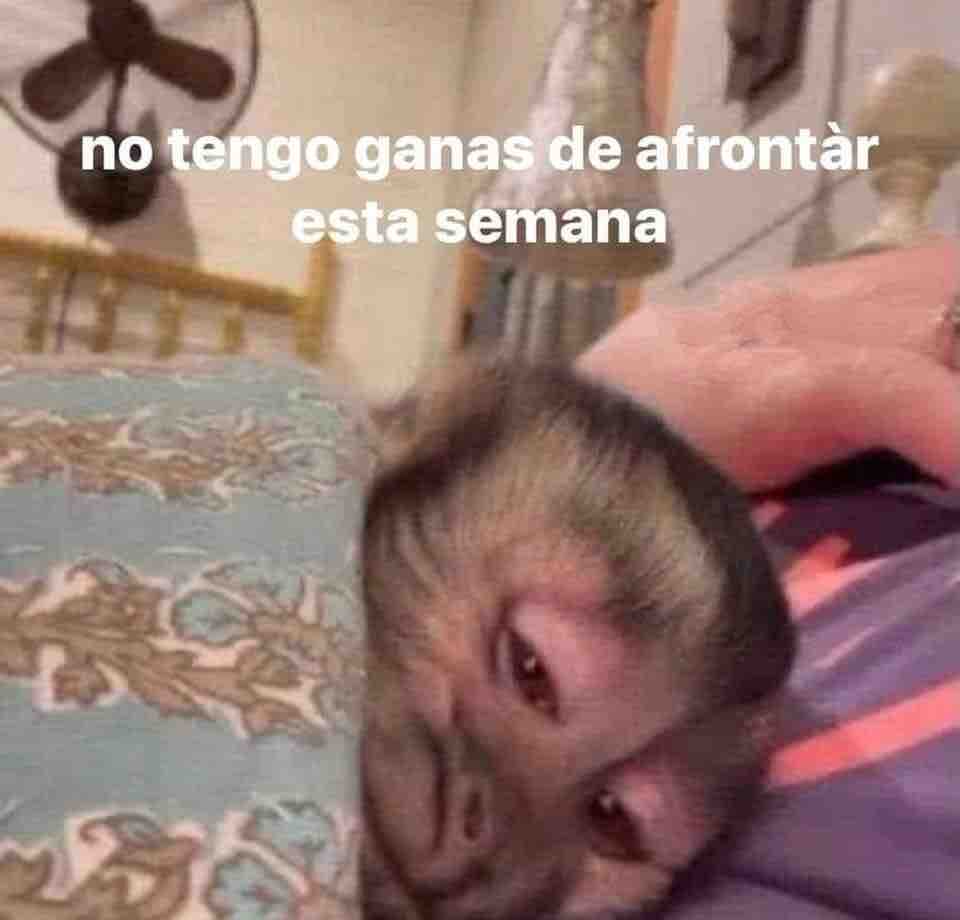 *Empieza a sonar mi alarma en pleno lunes a las 7 am*

Yo: