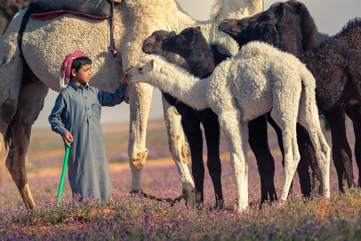 Photo by <a href="/cinenasser/">ناصر العثمان</a>  #SaudiArabia