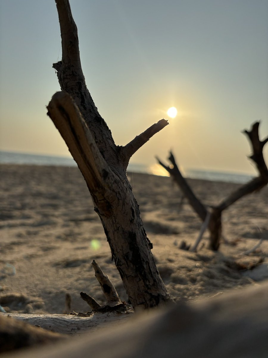 ThatsAKJ's tweet photo. Random shot

#photography #random #sunsetphotography #India #nature #creative #timing https://t.co/wuGYjRMPHg