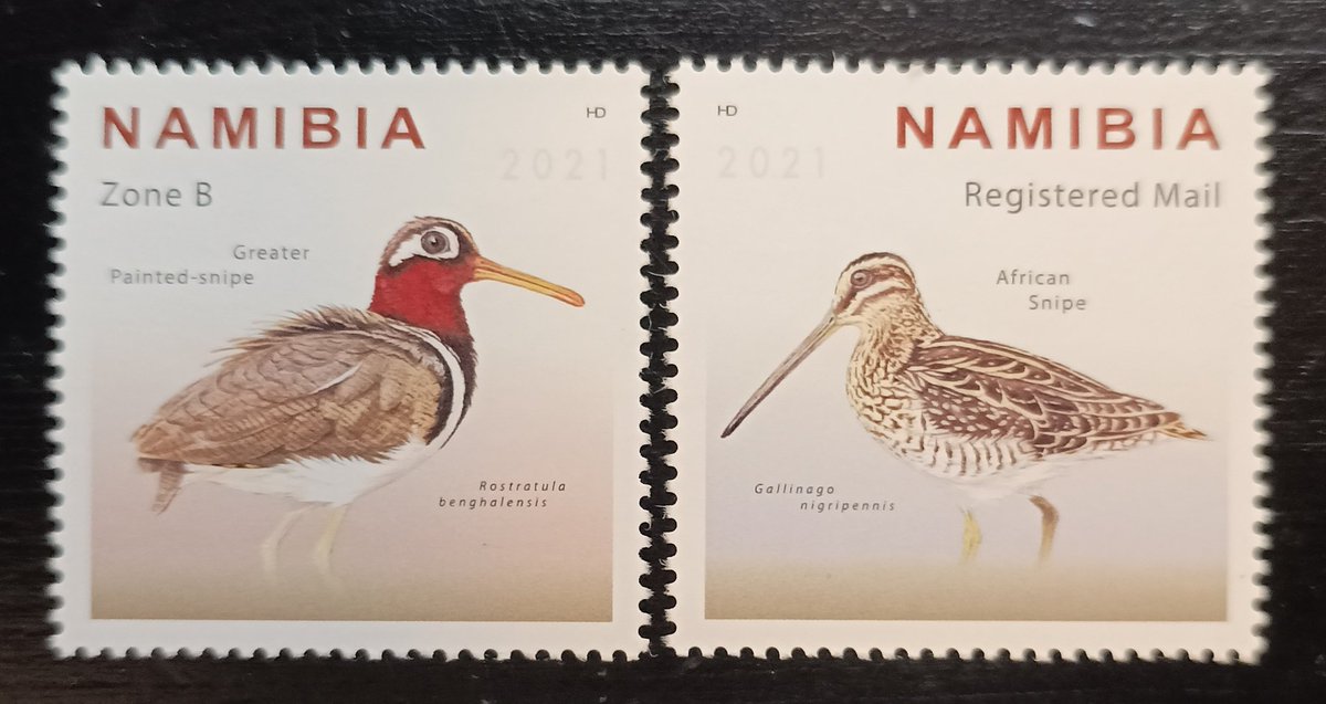 Namibia 2021 #birds #stamps #FDC #philately