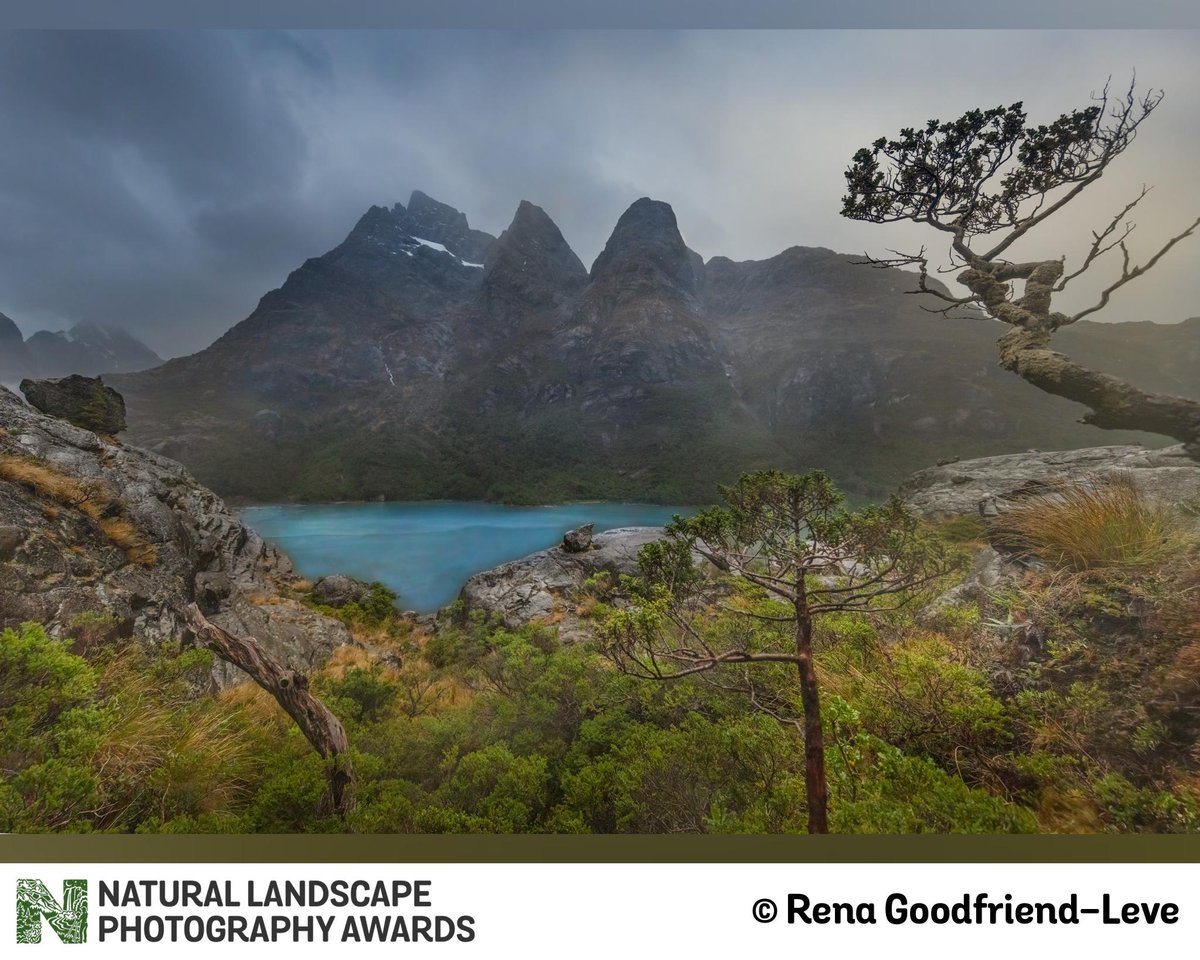 natlandawards's tweet photo. We are back for #ProjectMonday - Here is a fun project of images submitted to NLPA Year 3 by Rena Goodfriend-Leve. Nice work and thanks for entering, Rena! https://t.co/ozrBGKB0jc