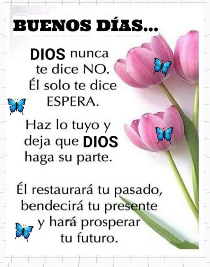 Buenos días excelente LUNES, bendiciones 🙌✨🌻