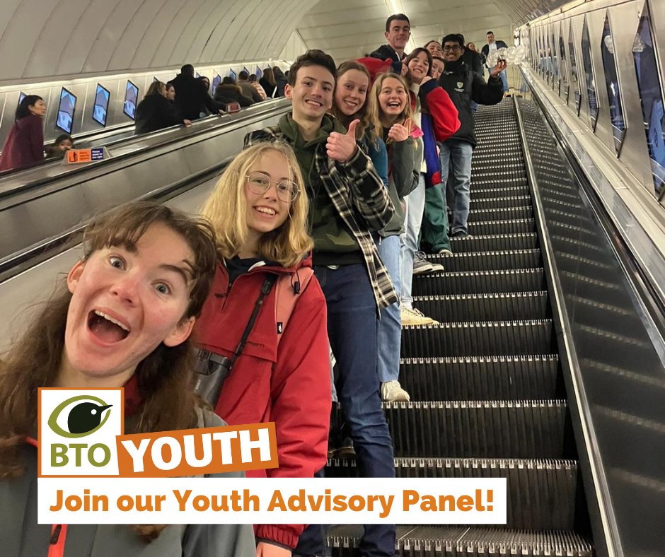 🌟 Exciting Volunteering Opportunity for aspiring young leaders aged 16-24 🌟 📆 Applications are open to join the #BTOYouth Advisory Panel! 🔗 Apply now at bit.ly/48Z3BWo to be part of an empowered community of young decision-makers. #ConservationLeadership