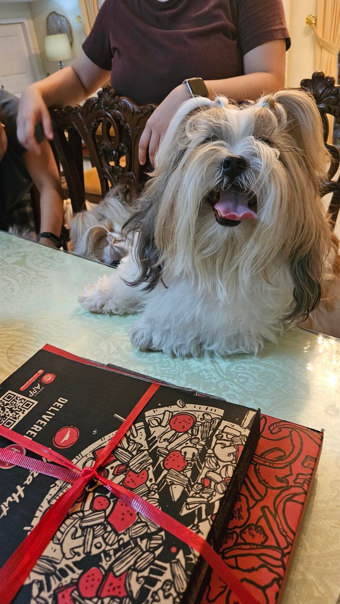 kittyferry's tweet photo. Hbd my bffs 🐶🐶🐶🐶 https://t.co/doJW0Vv5wR