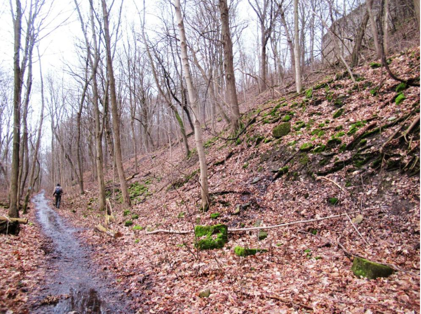Niagara Bruce Trail tweet media
