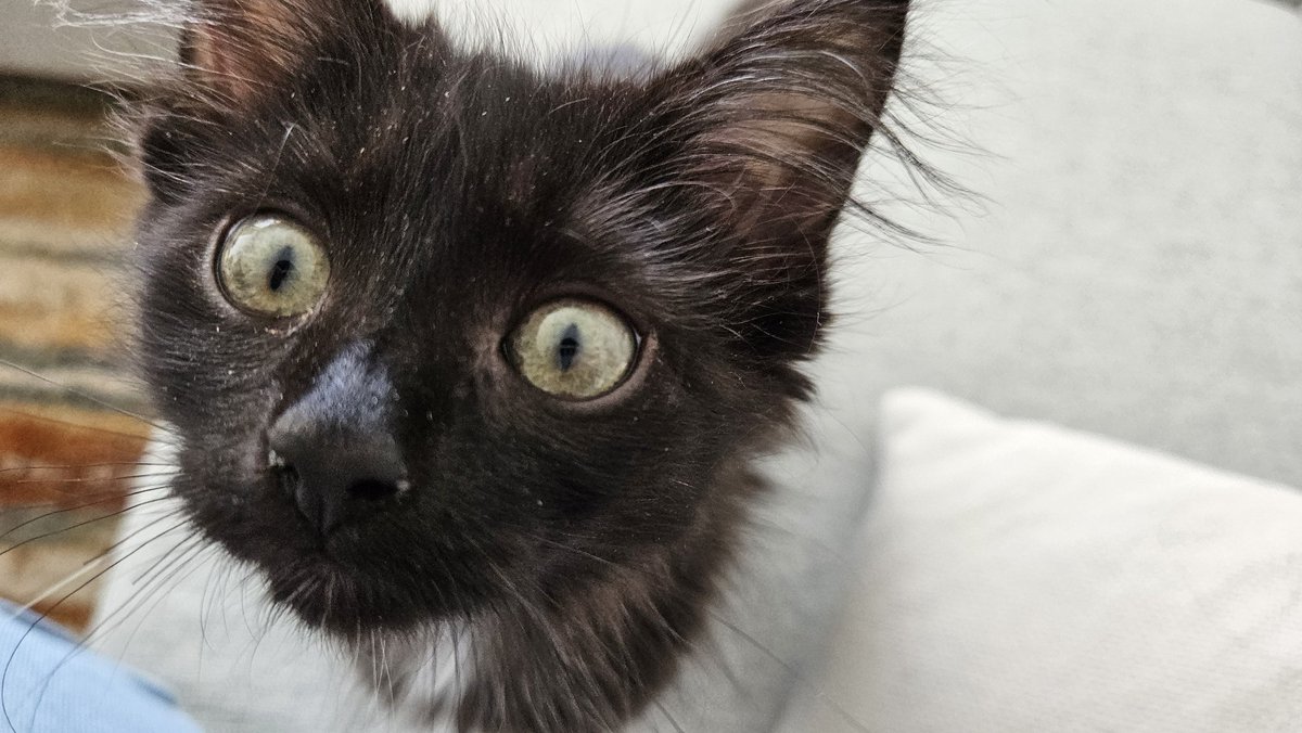 Madison Klarkowski tweet media