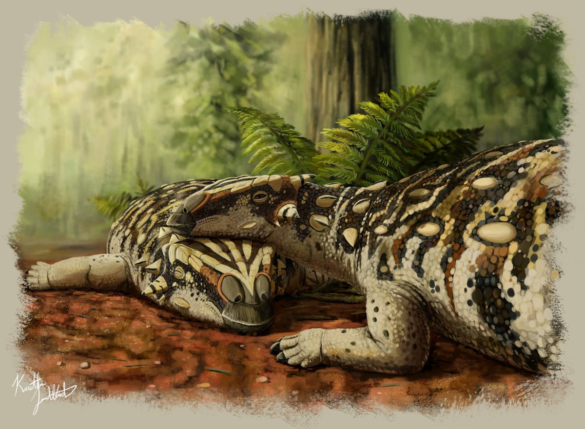 New dino announcement! Welcome Datai yinliangis, the ankylosaur with double cheek horns. Another collab with Tetsuto Miyashita, @LidaXing1982, and Keching Niu. Beautiful life restoration by @Crocodonist. Description in @VertAnatPalaeo here: journals.library.ualberta.ca/vamp/index.php… #CMNPalaeo