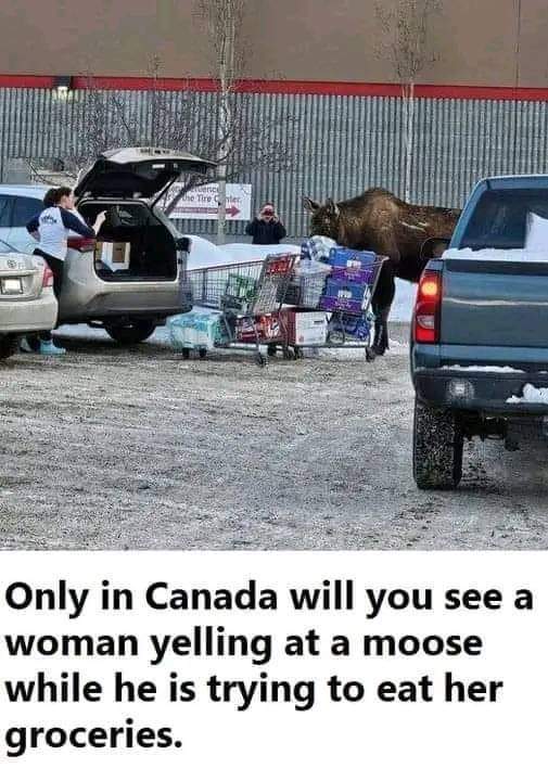 Welcome to Canada #Canadian #MondayFun