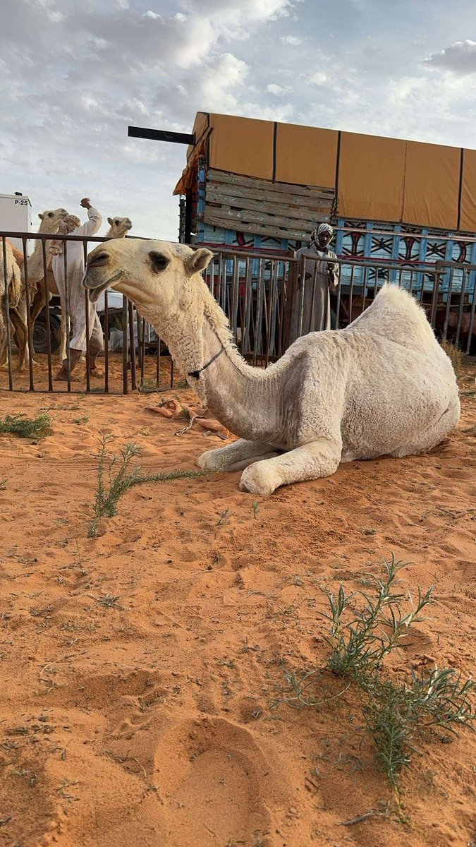 الاميرة الله يبارك فيها