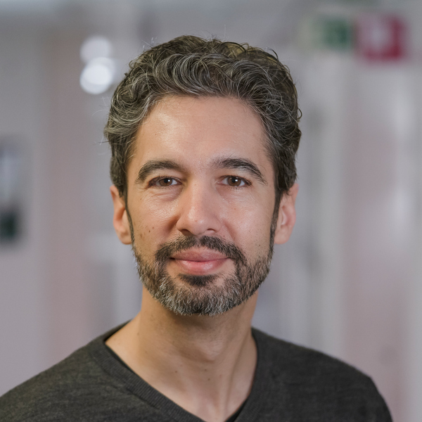 Discovery by Felipe Cava et al. @umeauniversity about bacterial cell walls can lead to new antibiotics #research supported by Knut and Alice Wallenberg Foundation #KAW100 #antibiotics #bacteria #infections bit.ly/49lqPGf