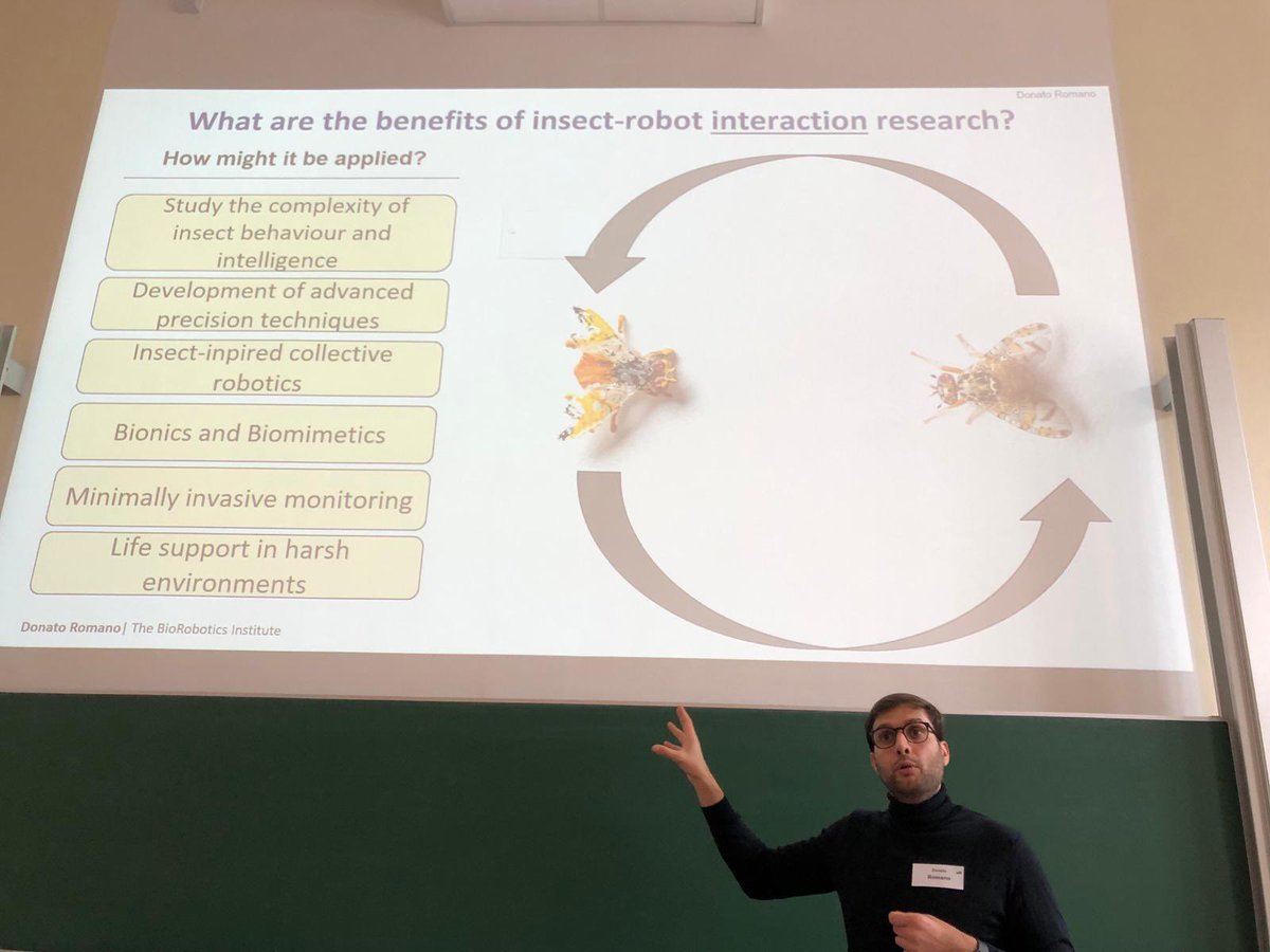 At the COLIBRI focus workshop at UniGraz, the benefited of insect-robot interaction are highlighted by Donato Romano in his talk “Biohybrid complex networks to unveil and controlling behavioral dynamics in insects”.