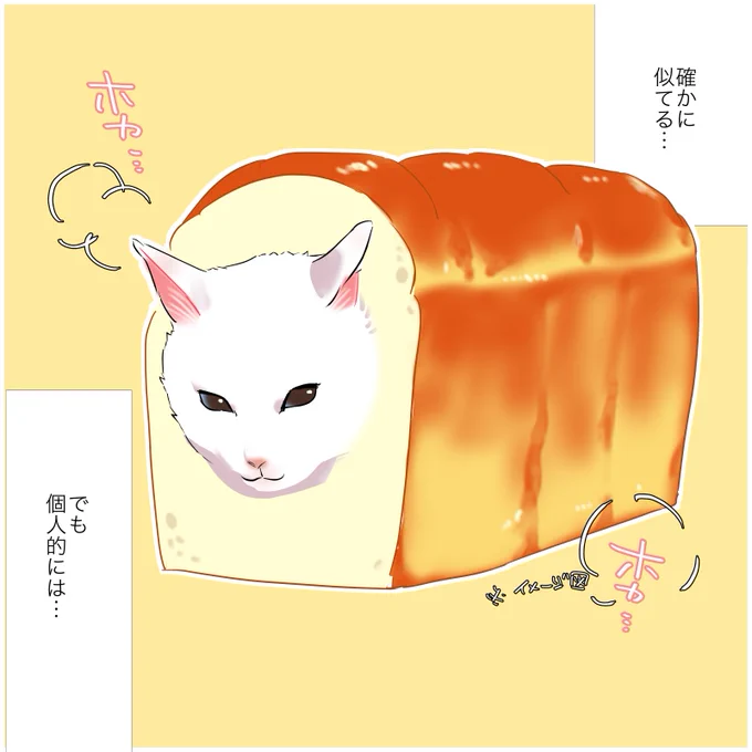 猫を見てるとお腹が空いてくる話
(2/2)
#漫画が読めるハッシュタグ
#愛されたがりの白猫ミコさん 