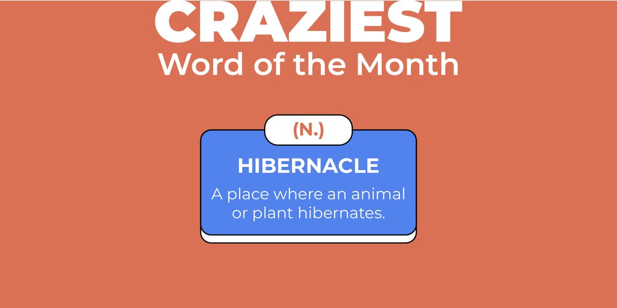 Embracing the concept of 'hibernacle' hideaways, where cozy corners meet nature's winter slumber. What is your preferred hibernation spot? Spread the warmth!

#Kalvie #CrazyWord #QuirkyWords #EnglishLanguage #LearnEnglish #UnusualWords #Hibernacle #HibernationMode #WordOfTheMonth