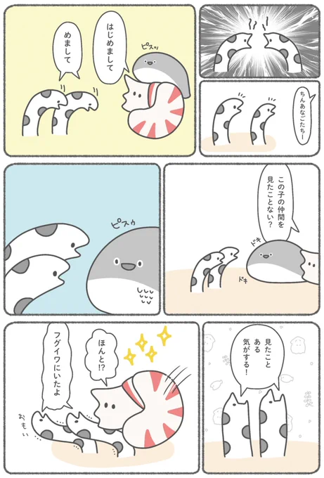 (3/6) 