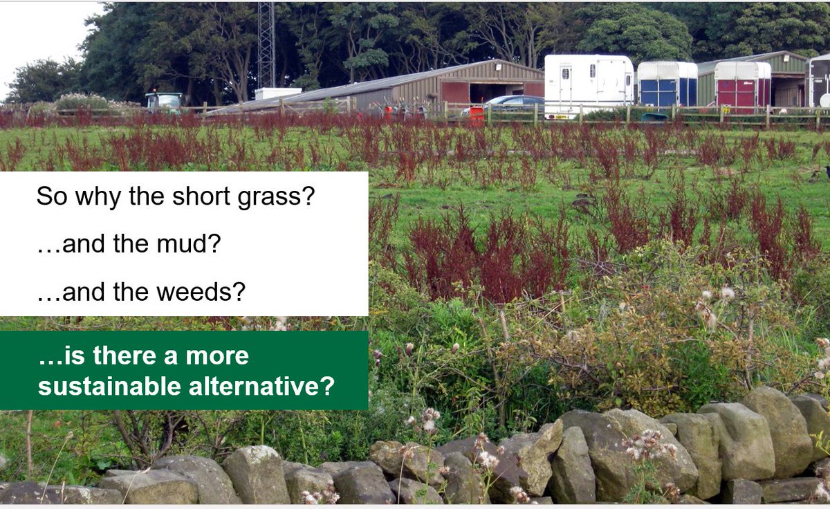 Has this year been tough on your horses and the land, especially after this mild wet winter and all the mud? Is there a more sustainable alternative for healthier horses and healthier land?, We think there is, to find out more..
In partnership with the Cornwall Wildlife Trust and