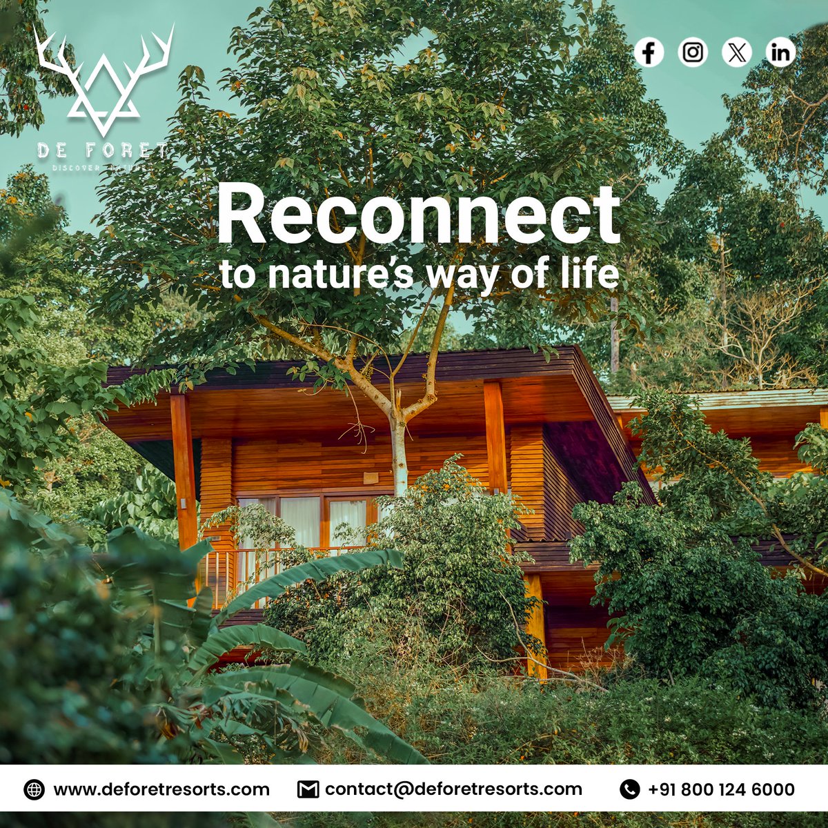 Find the true essence of nature's harmony at De Foret Resort. Embrace life's simplicity & beauty as you immerse yourself in our peaceful surroundings, reconnecting with the tranquility of the natural world

#natureslife #natureresort #resort #naturelovers  #nature  #naturehealing