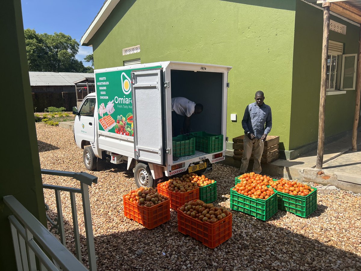 Omia🌽 tweet media