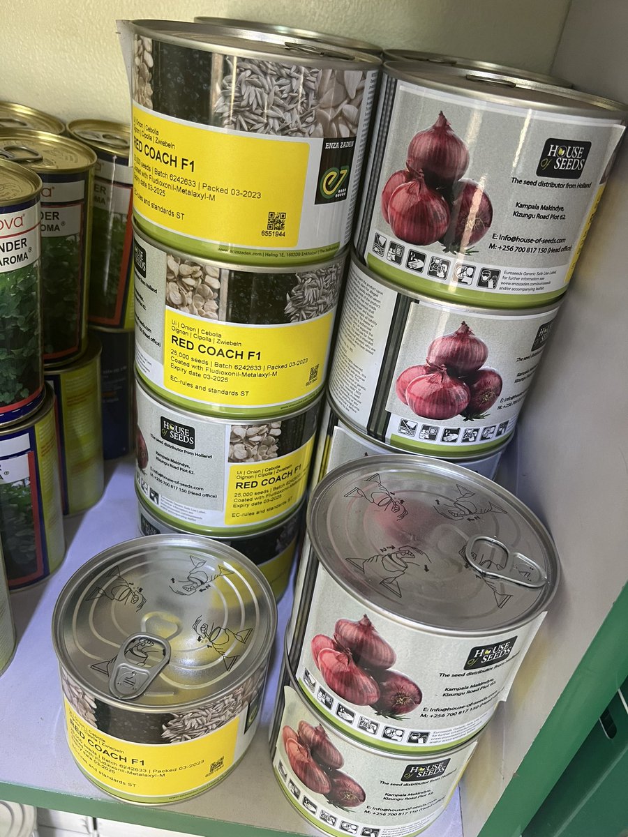 Omia🌽 tweet media