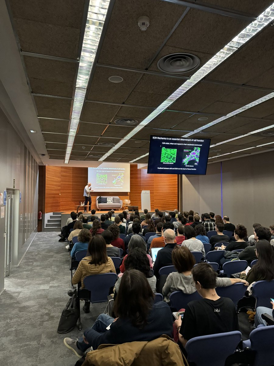 Xavier Trepat (@xaviertrepat) on Twitter photo <a href="/KevinChalut/">Kevin Chalut</a> kicks off the <a href="/CATCATbiology/">CATCAT - Cell and Tissue Research in Catalonia</a> morning. Key question: cell aging is reversible, but is tissue aging? Full house <a href="/IBECBarcelona/">IBEC</a> ! <a href="/KevinChalut/">Kevin Chalut</a> kicks off the <a href="/CATCATbiology/">CATCAT - Cell and Tissue Research in Catalonia</a> morning. Key question: cell aging is reversible, but is tissue aging? Full house <a href="/IBECBarcelona/">IBEC</a> !