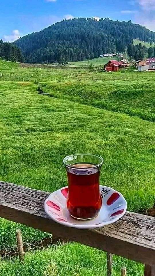 Sağlıklı güzel bir hafta diliyorum herkese 🌷