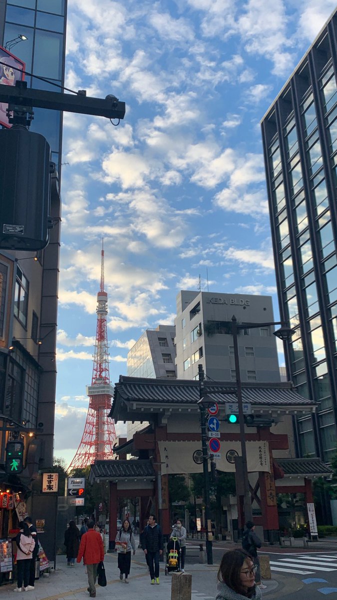 今週もバタバタとしております🗼
（これは昨日撮りました）

お気軽にショップのぞいてくださいね🌿
在庫はしっかりございますので、ゆーっくり好みの商品お選びください🐺🌿