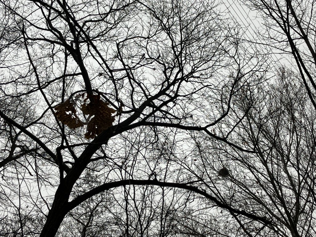 변변한 사진 한 장이 없다. 오랜만의 산책인 것 같다.