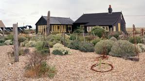 Stone Club tweet media