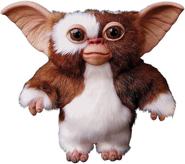 aitarik's tweet photo. Found Lauren from Mafs Australia #mafs2024 #gizmo https://t.co/zRRWxia2Gq