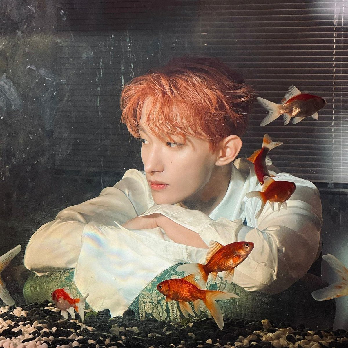 papermemoriesss's tweet photo. 𝑠𝑖𝑙𝑒𝑛𝑡 𝑠𝑒𝑟𝑒𝑛𝑎𝑑𝑒 
- døk̶y̶ɇo̶₥ x oc 🔞 au  

mermaids are myths, or they were supposed to be, until Daniel found one washed up on the shore of his kingdom. he finds out later on that she couldn't speak, and the only way to restore her voice is through having sɇx. https://t.co/Hh8Ss6HJ1O