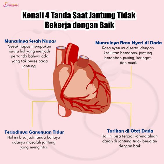 menusehatalami's tweet photo. KENALI TANDA SAAT JANTUNG TIDAK BEKERJA DENGAN BAIK

Dapatkan CUKA APEL NUTRIFARM/ SUUR LEMOEN 500ML UNTUK DIET UNTUK WAJAH
https://t.co/rKpFrizGgC https://t.co/DsN0EfGobZ