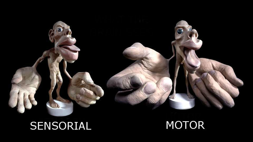 Terapia Manual UE tweet media