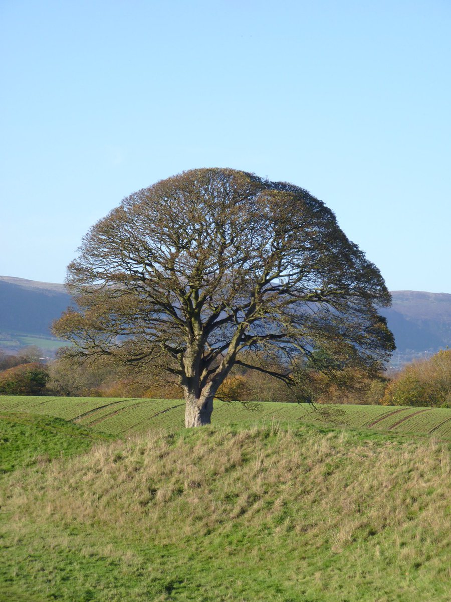 It’s a new week and a new start 💪