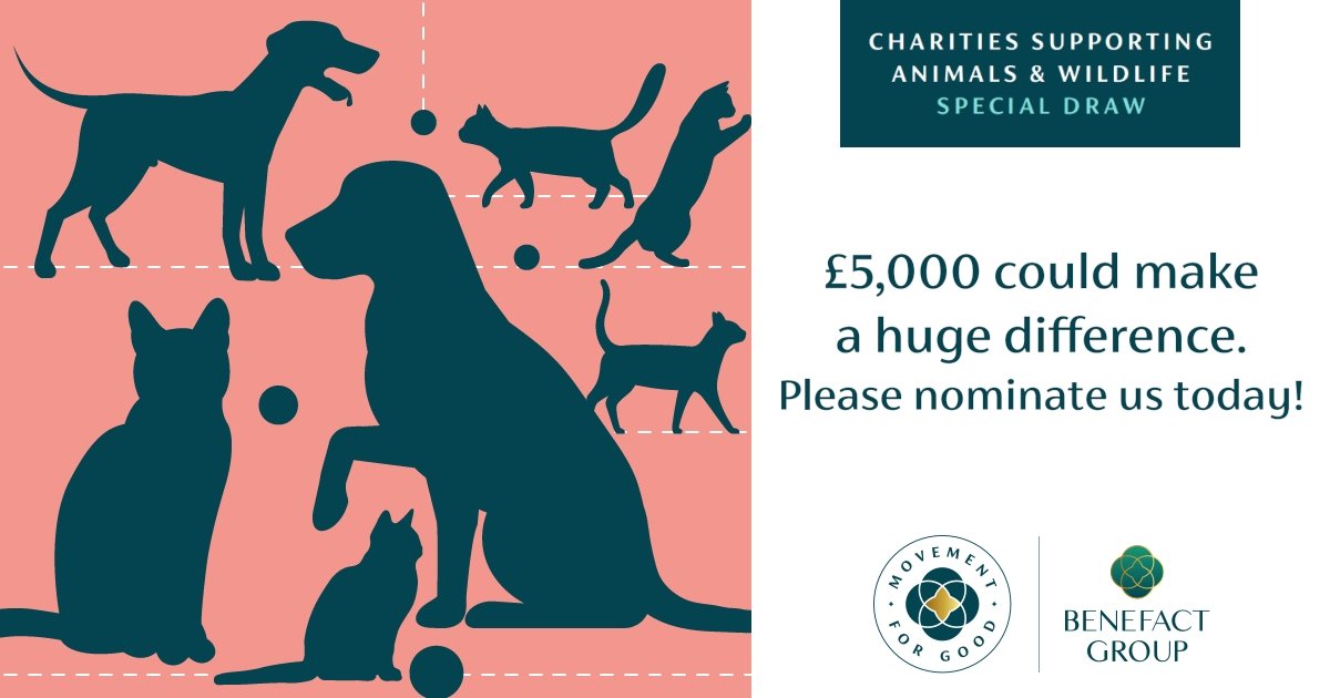 Please help by nominating us in a draw to win £5000 !! This amount of money could make a huge difference to our 110 dogs. 🖤🐾🙏 It only takes a minute to complete. Our charity number is 1200171 THANK YOU . Fingers and paws crossed 🐾🐾 animal.movementforgood.com/index.php?cn=1…