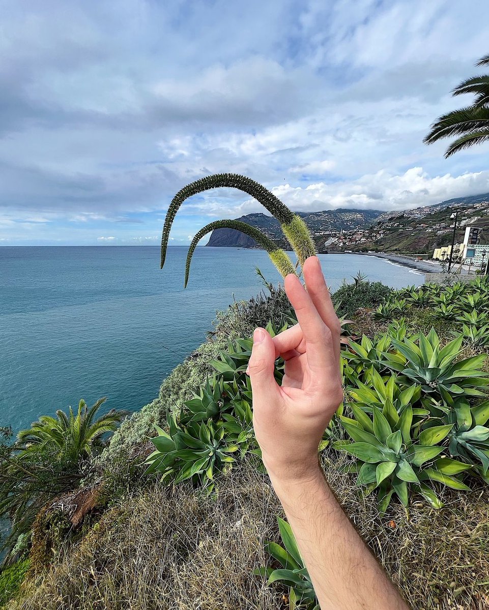 DomestikaEs's tweet photo. El fotógrafo creativo @umtiago ve el mundo a través de su propia lente y crea ilusiones ópticas sin utilizar ningún montaje fotográfico ni software. https://t.co/utoZiJr9Cs