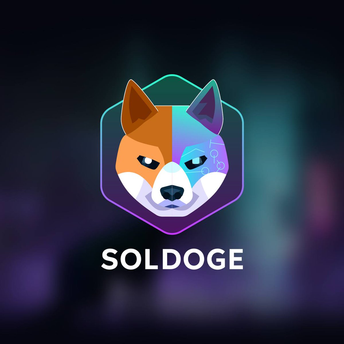 SolDoge is the first AI DOGE on Solana. The ticker is $AIDOGE. SolDoge is  the gateway to AI-powered image creation and AI assistance! With $AIDoge,  you unleash the power of AI to