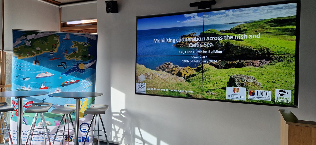 Irish and Celtic Sea Network tweet media