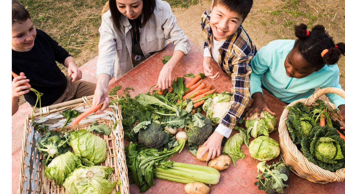 Fostering environmental stewardship starts with the young. Together, we can nurture a generation ready to safeguard our planet. 🌍🌱 #FutureGuardians