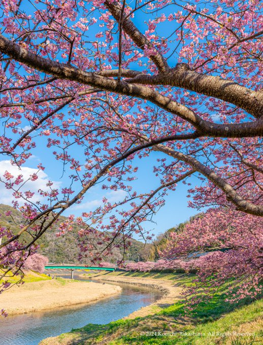 chenyu557265's tweet photo. 静岡県 賀茂郡 南伊豆町♨️ https://t.co/ElULeuBOAH