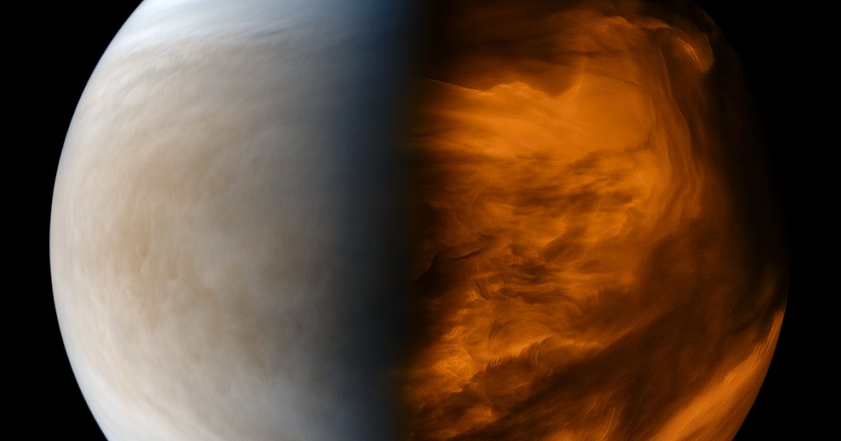 28SonnetsLater tweet media