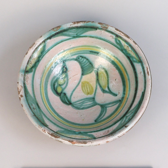 Museum of Archaeology and Anthropology tweet media