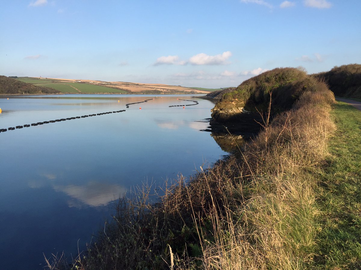 Nothing better than high tide and winter sun on the trail. Hopefully some of you have enjoyed some this half term! #cameltrail #padstow #wadebridge #cycle #cyclehire #bikehire #cornwall